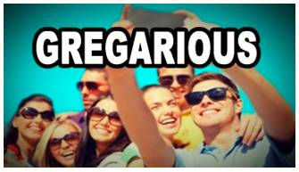 Gregarious  - Meaning- Fond of company.