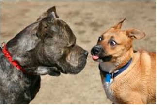 Encounter - Meaning- A confrontation or unpleasant struggle.