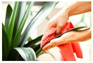 Resuscitate  - Meaning- Make (something) active or vigorous again.