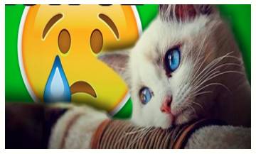 Wistful  - Meaning-  Having or showing a feeling of vague or regretful longing.