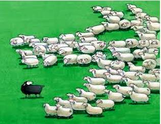 Ostracism  - Meaning- The act of deliberately not including somebody in a group or activity; the state of not being included.