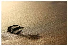 Ephemeral  - Meaning-  Lasting for a very short time.