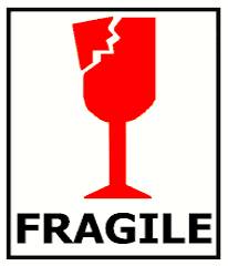 Fragile  - Meaning- Weak and uncertain.
