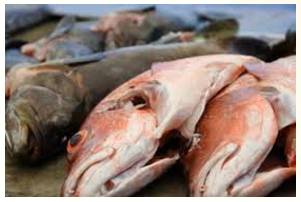 Perishable  - Meaning- (especially of food) likely to decay or go bad quickly.
