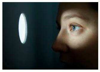 Lurk  - Meaning- To wait somewhere secretly, especially because you are going to do something bad or illegal.