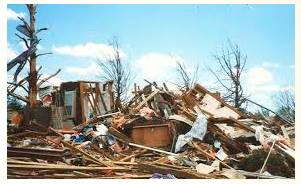 Ravage  - Meaning- Cause severe and extensive damage to.