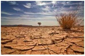 Parched  - Meaning-  Very dry, especially because the weather is hot.