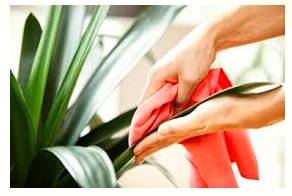 Resuscitate  - Meaning- Make (something) active or vigorous again.