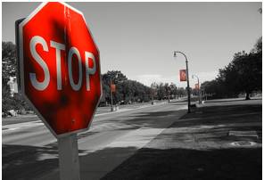 Abeyance  - Meaning- A state of temporary disuse or suspension.