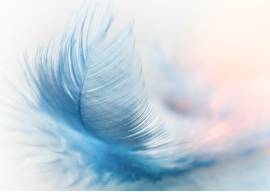 Nimble  - Meaning- Quick and light in movement or action.