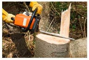 Whittle  - Synonyms- Reduce something in size, amount, or extent by a gradual series of steps.