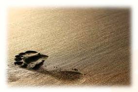 Ephemeral  - Meaning-  Lasting for a very short time.