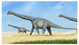 Colossal  - Meaning- Extremely large or great.