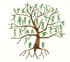 Lineage  - Meaning- The series of families that somebody comes from originally.