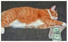 Wherewithal  - Meaning- The money or other means needed for a particular purpose.