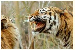 Barbarically - Meaning- In a very cruel and violent way.