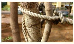 Cement  - Meaning- To make a relationship, an agreement, etc. stronger.