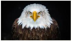 Formidable  - Meaning - Inspiring fear or respect through being impressively large, powerful, intense, or capable.