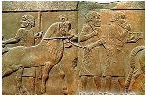 Annals  - Meaning - A record of events year by year.