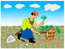 Garner  - Meaning - To obtain or collect something such as information, support, etc.