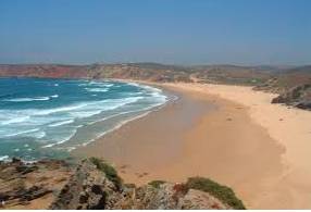 Littoral  - Meaning- Relating to or situated on the shore of the sea or a lake.