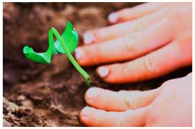 Nurture  - Meaning- To care for and protect somebody/something while they are growing and developing.