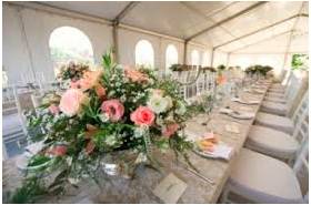 Embellish  - Meaning -   To make something more beautiful by adding decoration to it.