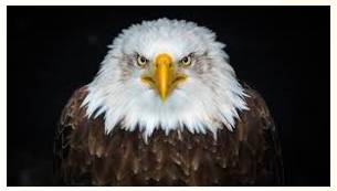 Formidable  - Meaning - Inspiring fear or respect through being impressively large, powerful, intense, or capable.