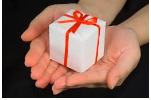 Endow  - Provide with a quality, ability, or asset.