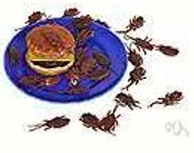 Infest  - - (of insects or animals) be present (in a place or site) in large numbers, typically so as to cause damage or disease.