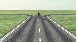 Bifurcation  - The division of something into two branches or parts.