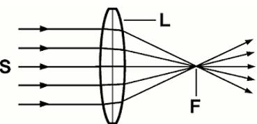 Converge  - Meaning - Come from different directions and meet at (a place).