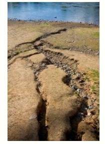 Erosion  - The gradual destruction or diminution of something.