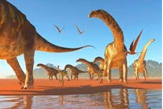 Mammoth  - Huge.