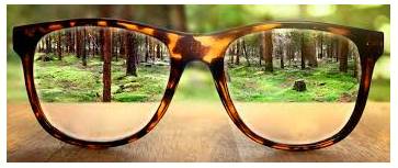 Starkly  - In a way that is easy to see because it is very different.
