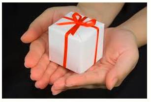 Endow  - Provide with a quality, ability, or asset.