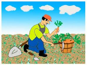 Garner  - To obtain or collect something such as information, support, etc.