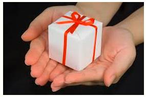 Endow  - Provide with a quality, ability, or asset.