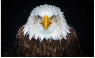 Formidable  - Inspiring fear or respect through being impressively large, powerful, intense, or capable.