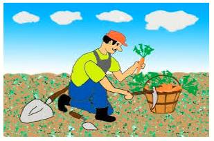 Garner  - To obtain or collect something such as information, support, etc.