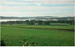 Acreage  - An area of land, typically when used for agricultural purposes, but not necessarily measured in acres.
