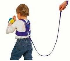 Leash  - A restraint.
