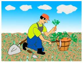Garner  - To obtain or collect something such as information, support, etc.