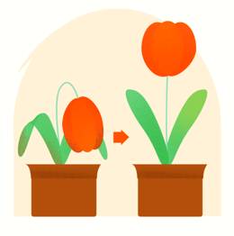 Rekindle  - Revive (something lost or lapsed).