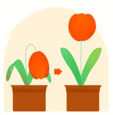 Rekindle  - Revive (something lost or lapsed).