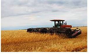 Swathes  - A broad strip or area of something.