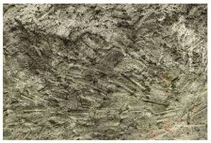 Coarse  - Rough or harsh in texture.
