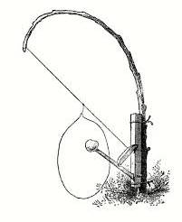 Snare  - A trap for catching birds or mammals, typically one having a noose of wire or cord.