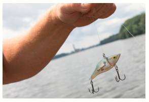 Lure  - To persuade or trick somebody to go somewhere or to do something by promising them a reward.