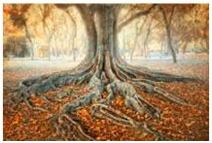 Ingrained  - (of a habit, an attitude, etc.) that has existed for a long time and is therefore difficult to change.